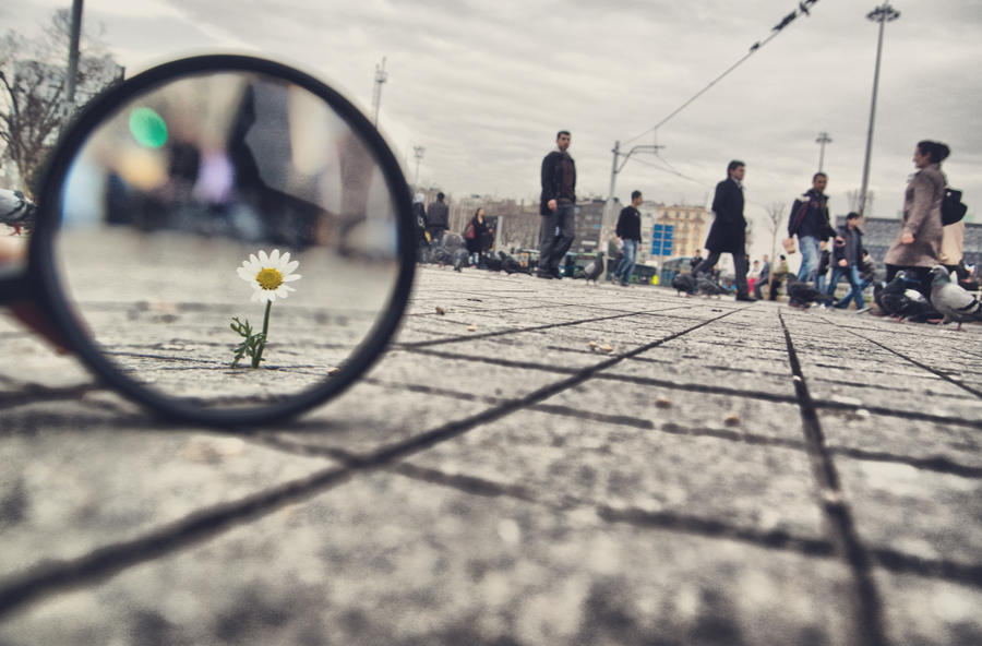 98__magnifying_glass____vii_by_salihagir_d2nyby1-fullview.jpg, juin 2021