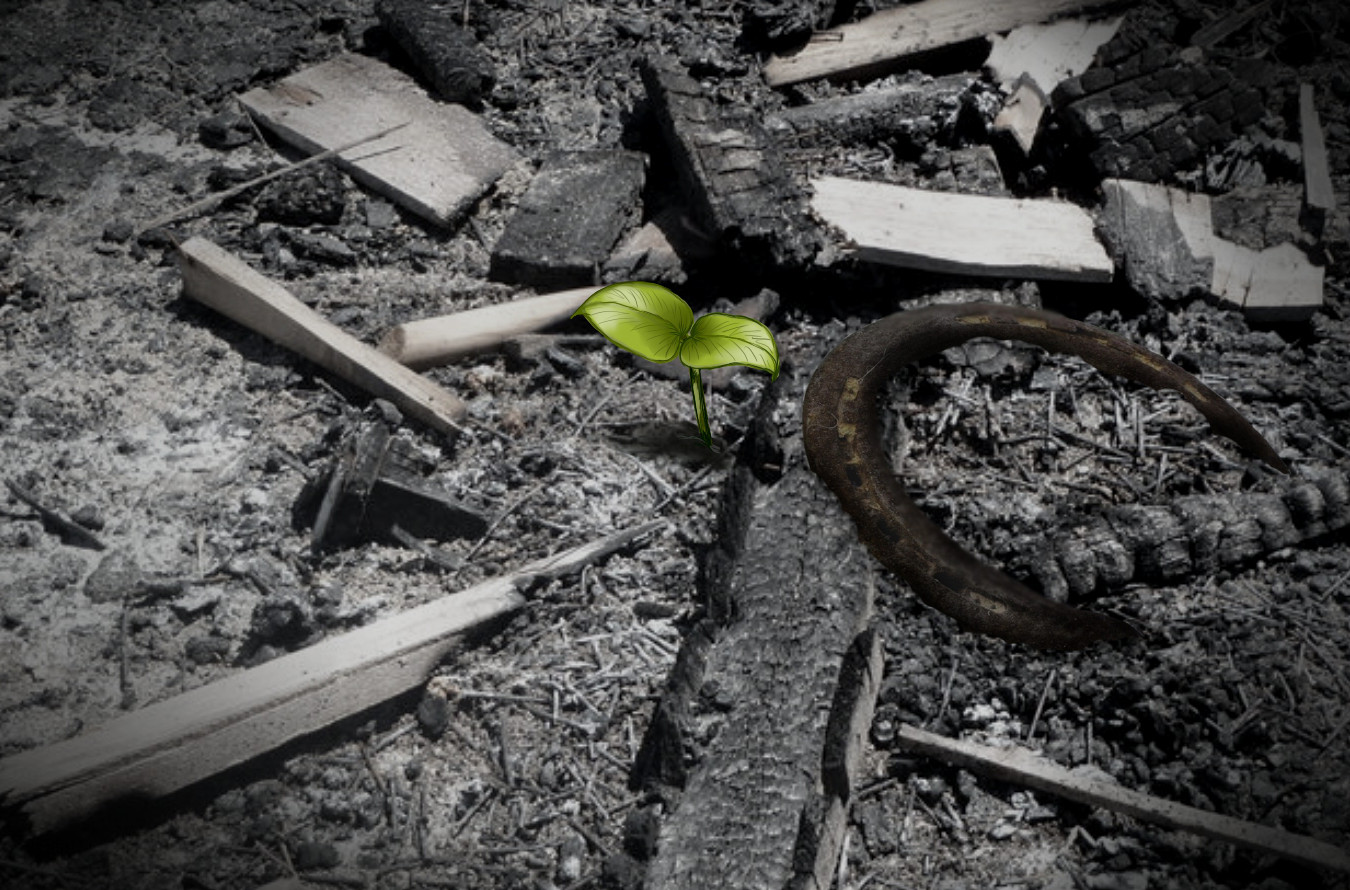 ashes-to-ashes-by-decors.jpg