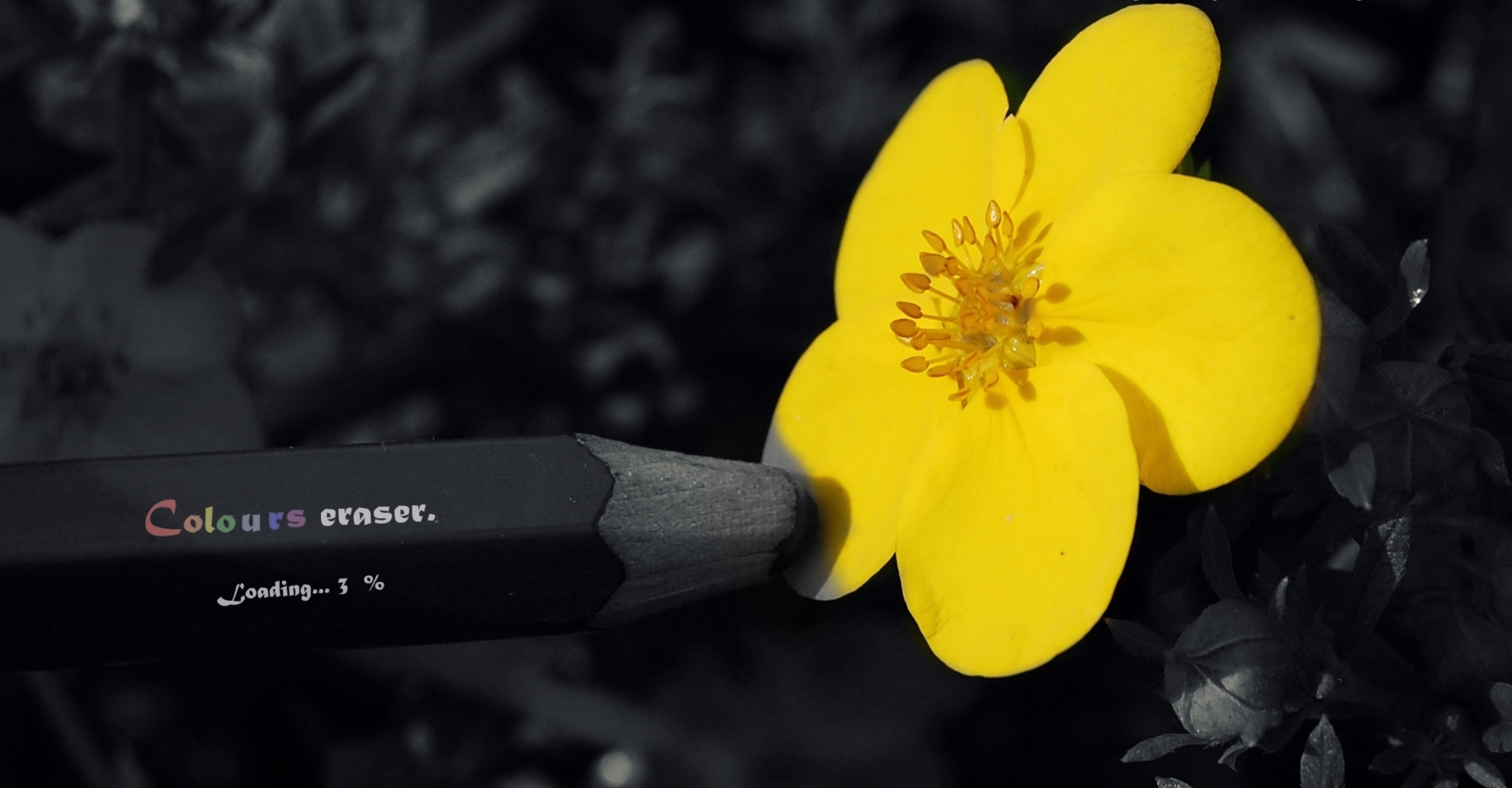 colours_eraser_by_jnac-d3gutuc.jpg