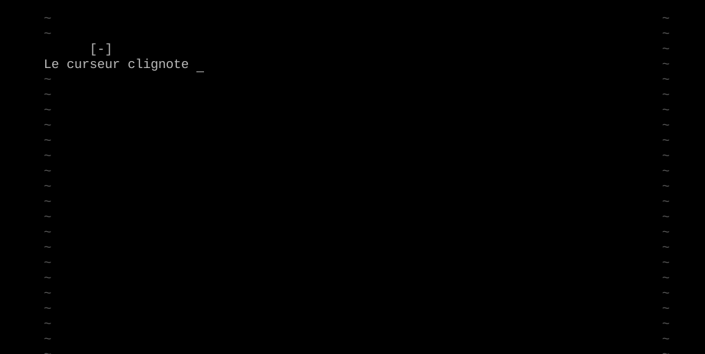 un terminal et un curseur qui clignote