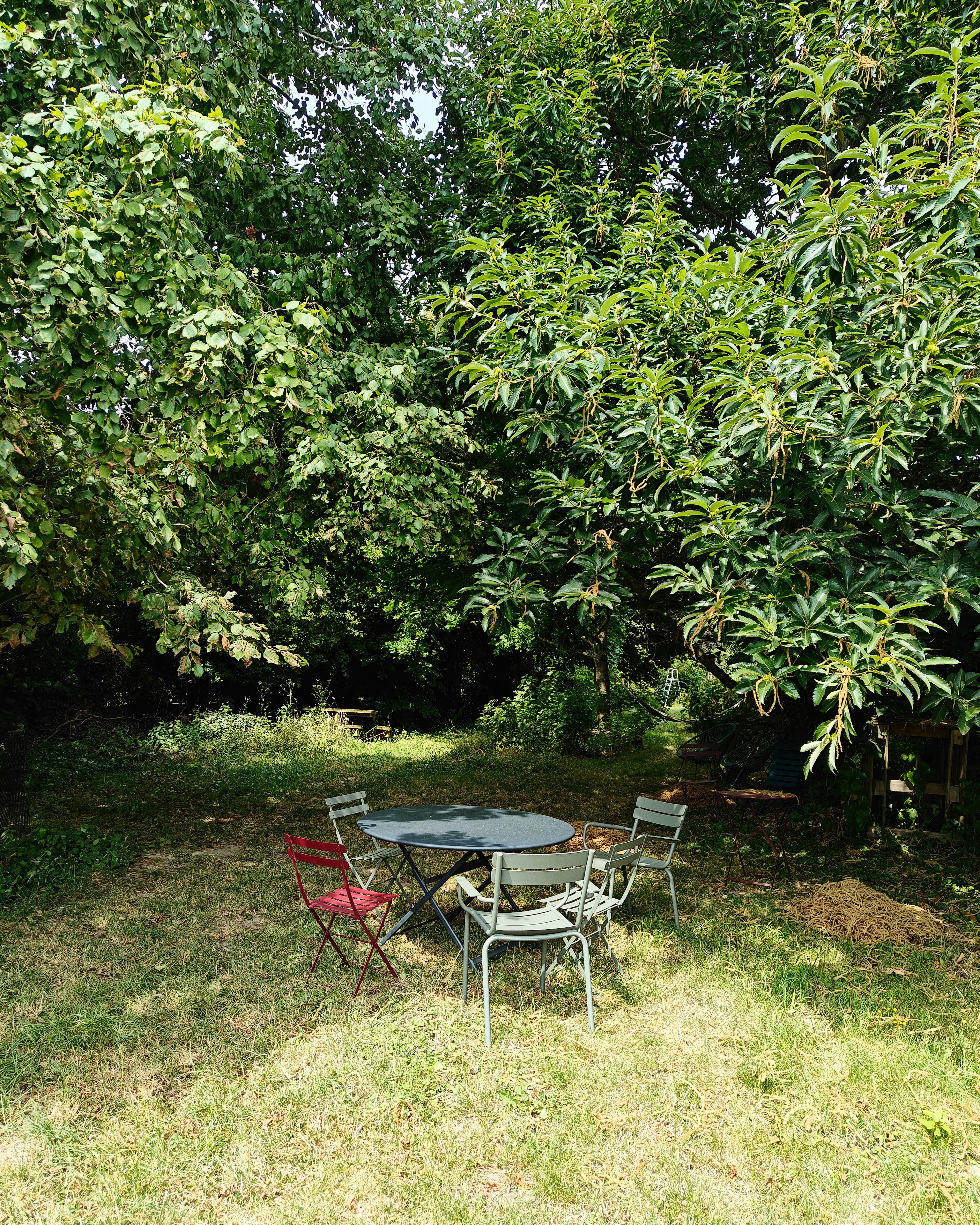 Mon jardin un peu punk