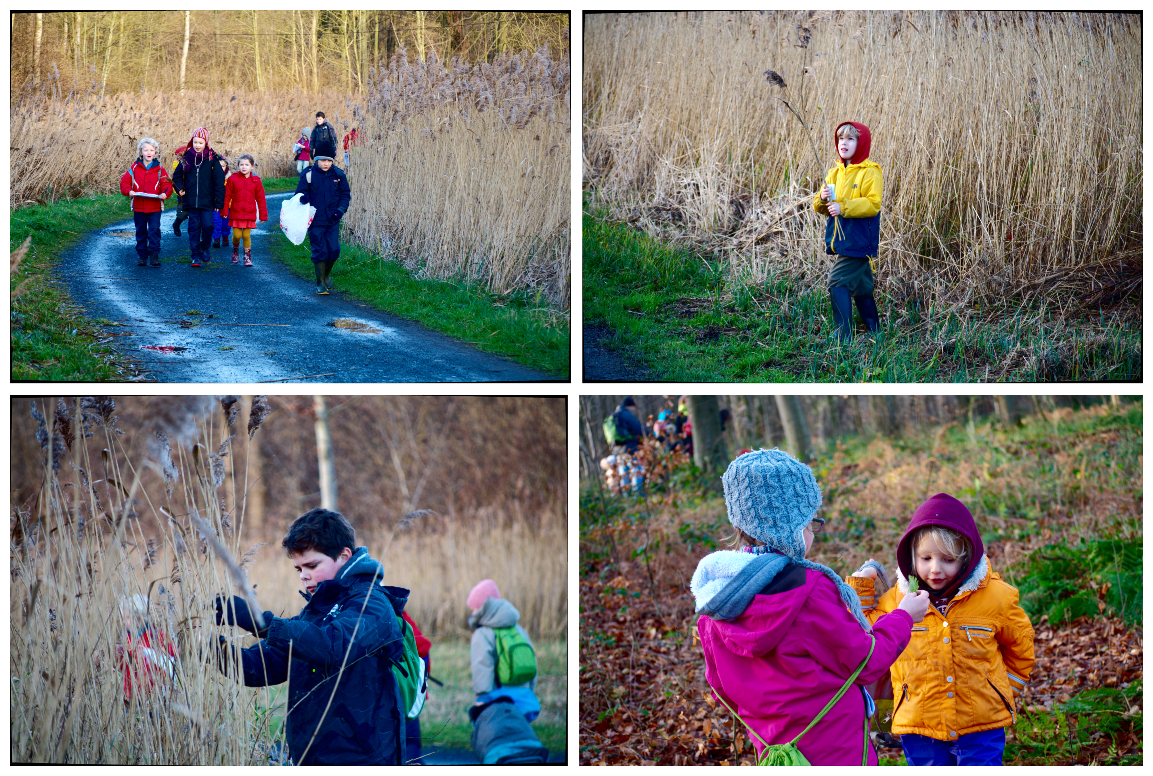 maloka-201512-bois-m1.jpg