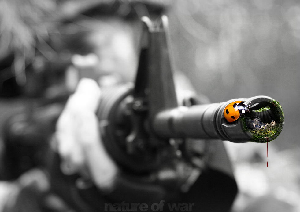 nature of war