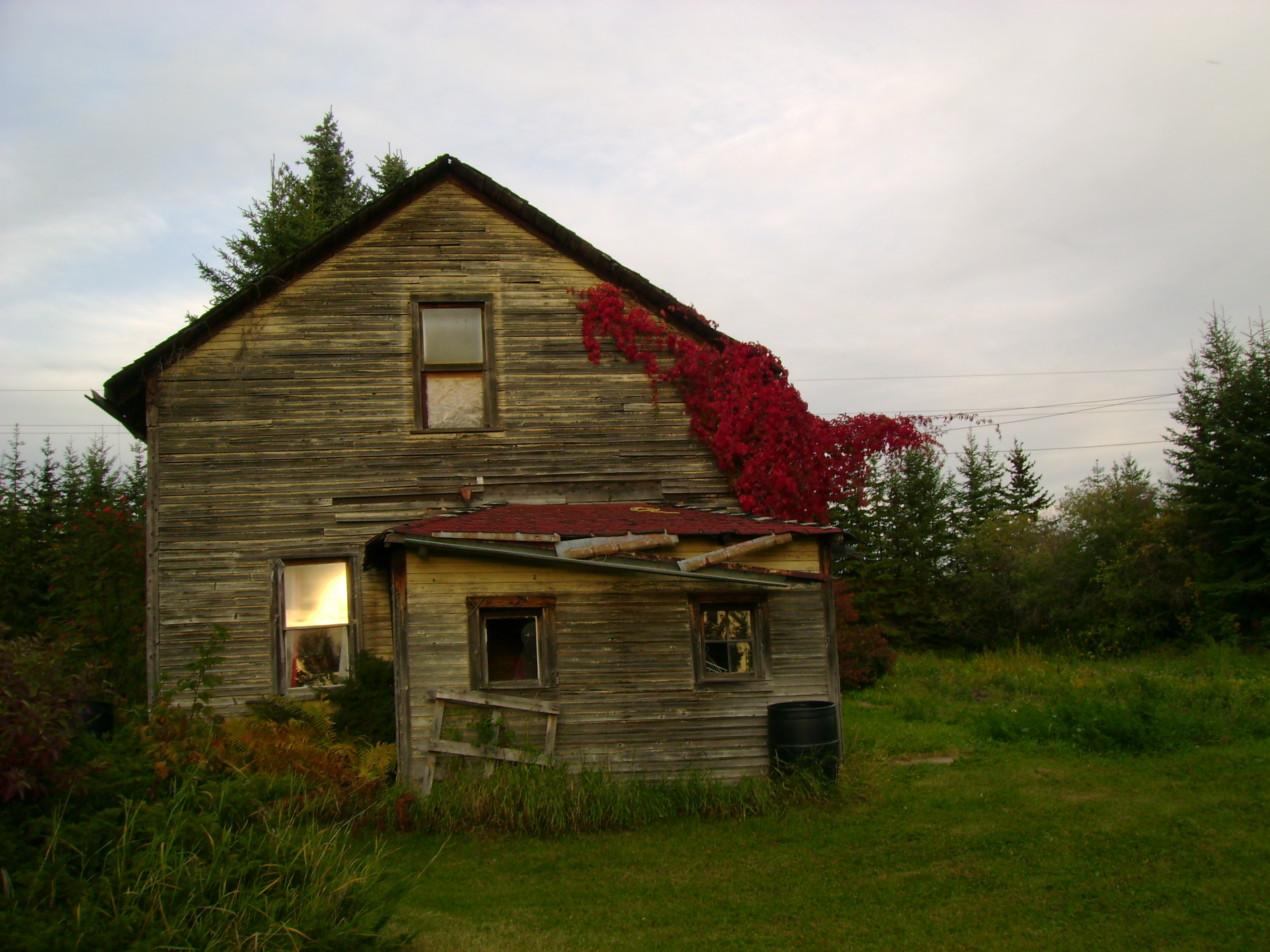Old house