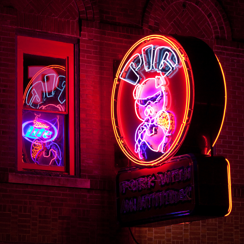 pig-6923469335_3088c1c263_b.jpg