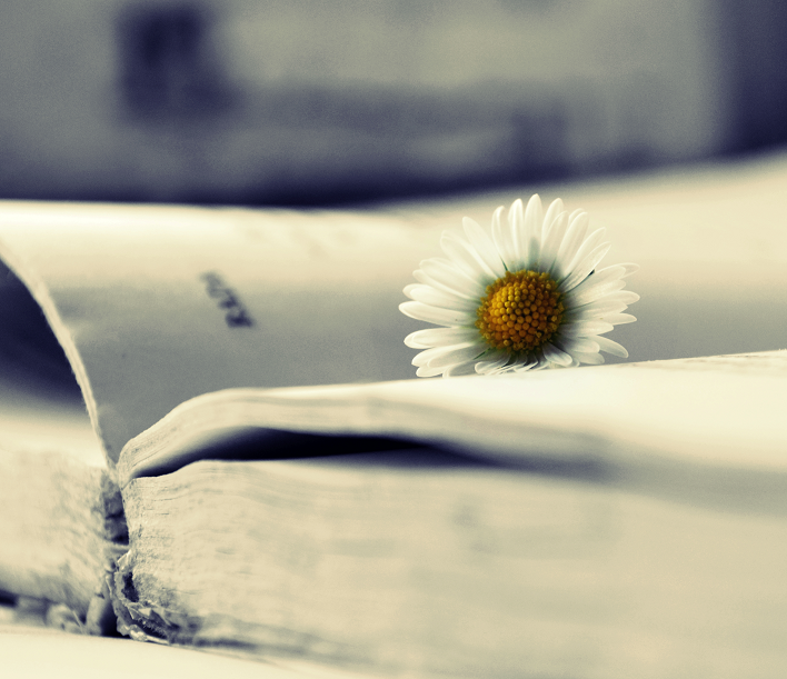 reading_part_iii_by_matthewpoland-d3hee86.png