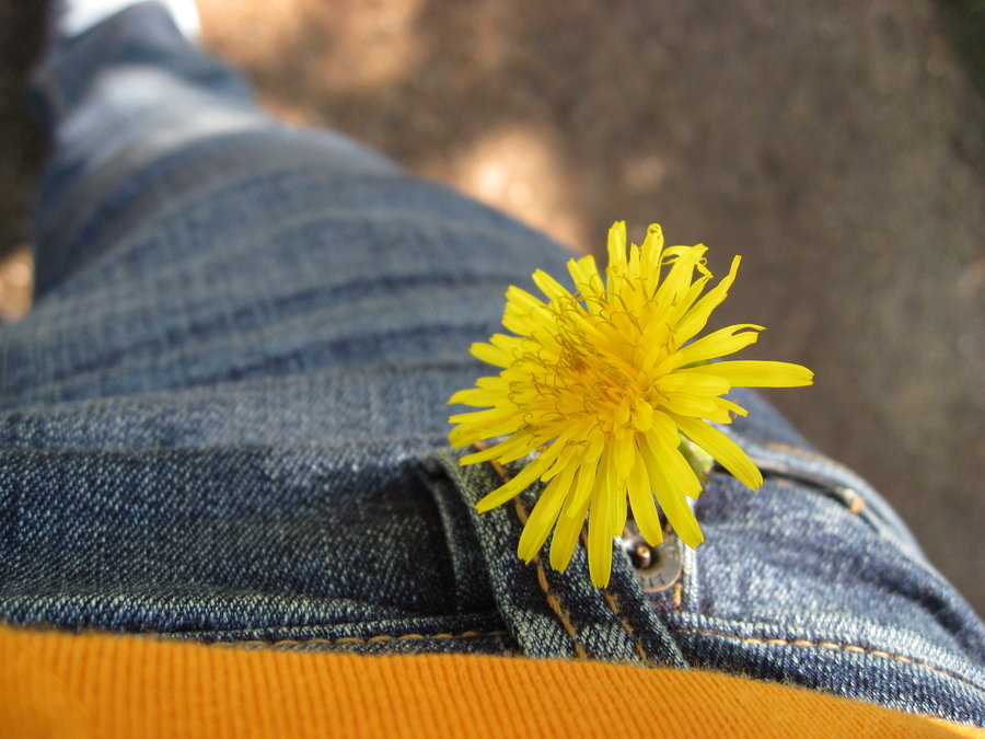 sunshine_is_my_pocket_by_atpase.jpg