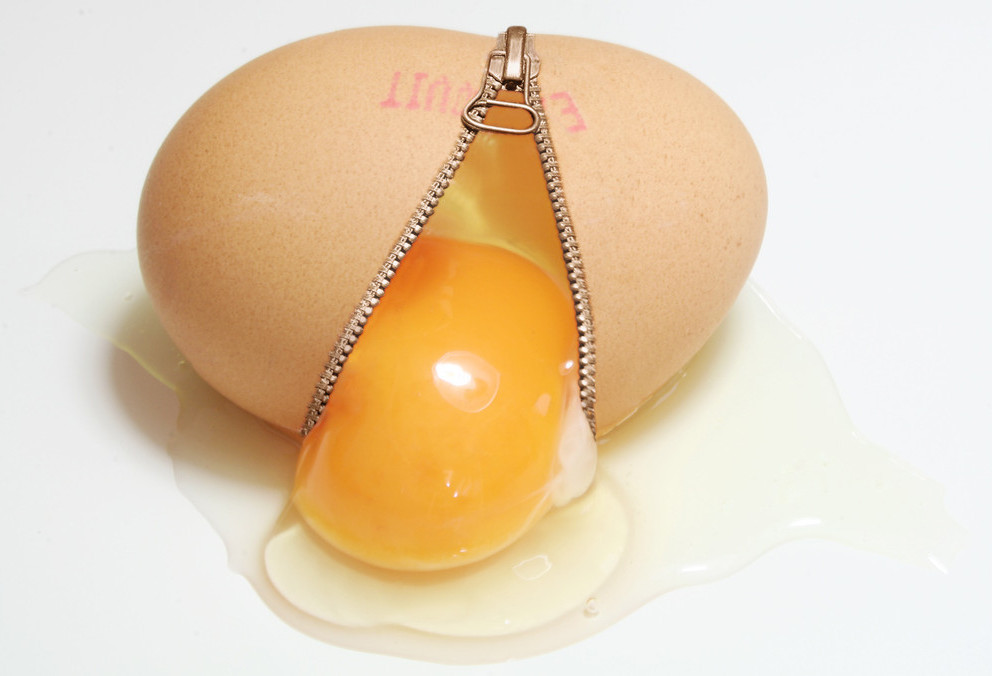 unzipped_egg_by_pixelduster_cut.jpg